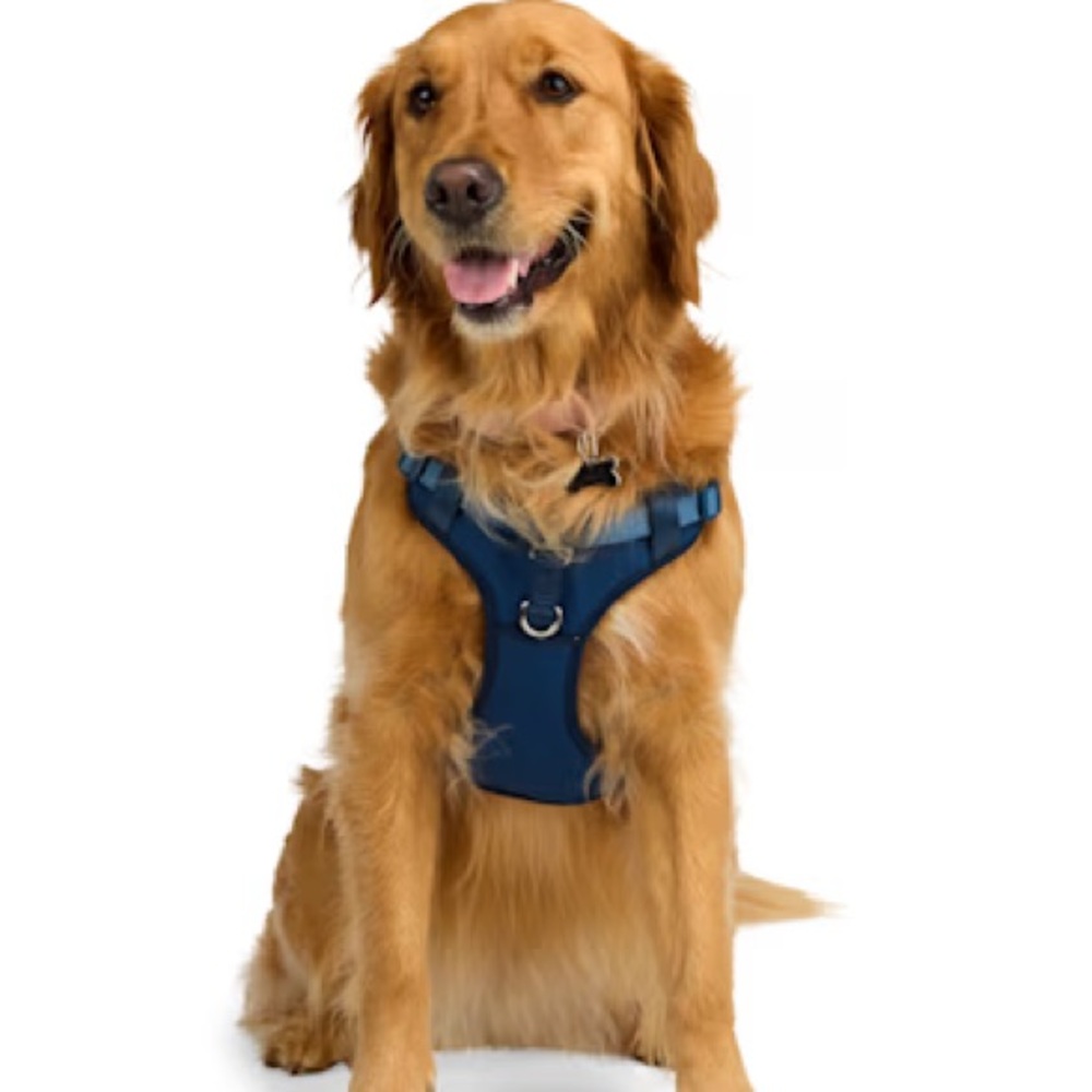 Reflective Adjustable Dog Harness